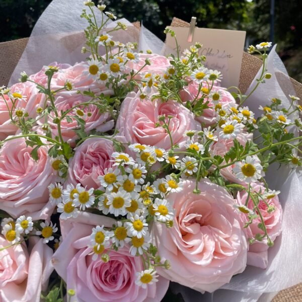 Premium O'hara Rose Bouquet