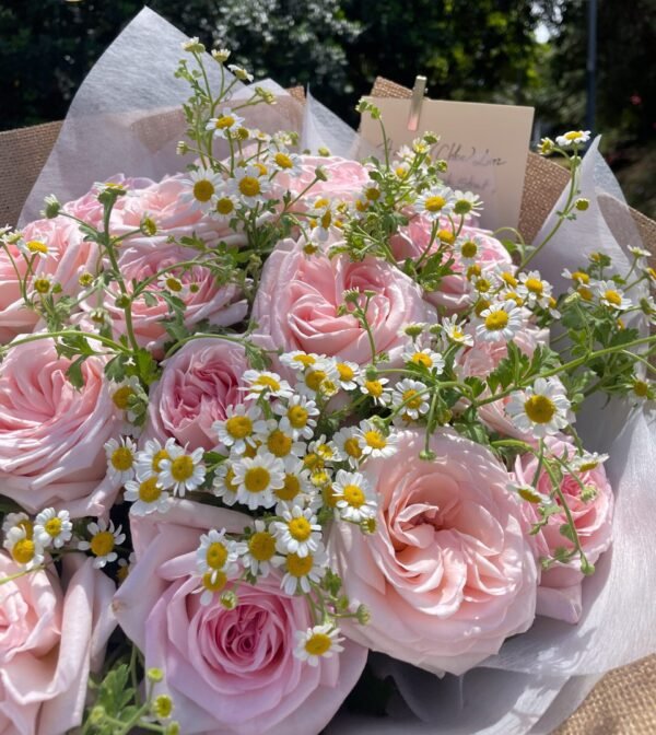Rose Lover- Romantic Delux