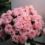 rose bouquet for romantic occasions, florist near me