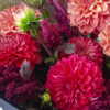 mixed seasonal blooms