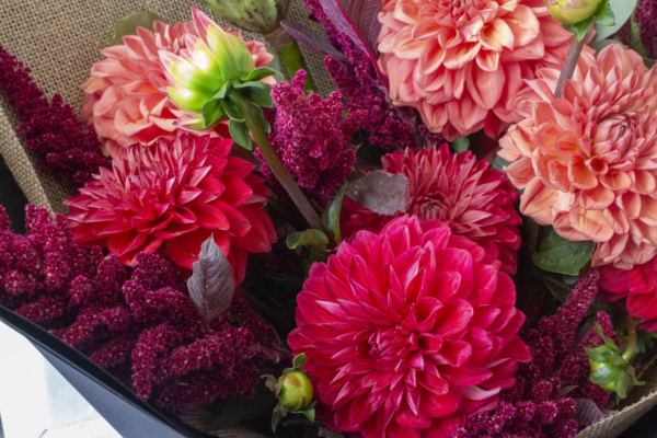 mixed seasonal blooms