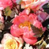 Luxury fresh flower arrangement coral peach burgundy tones