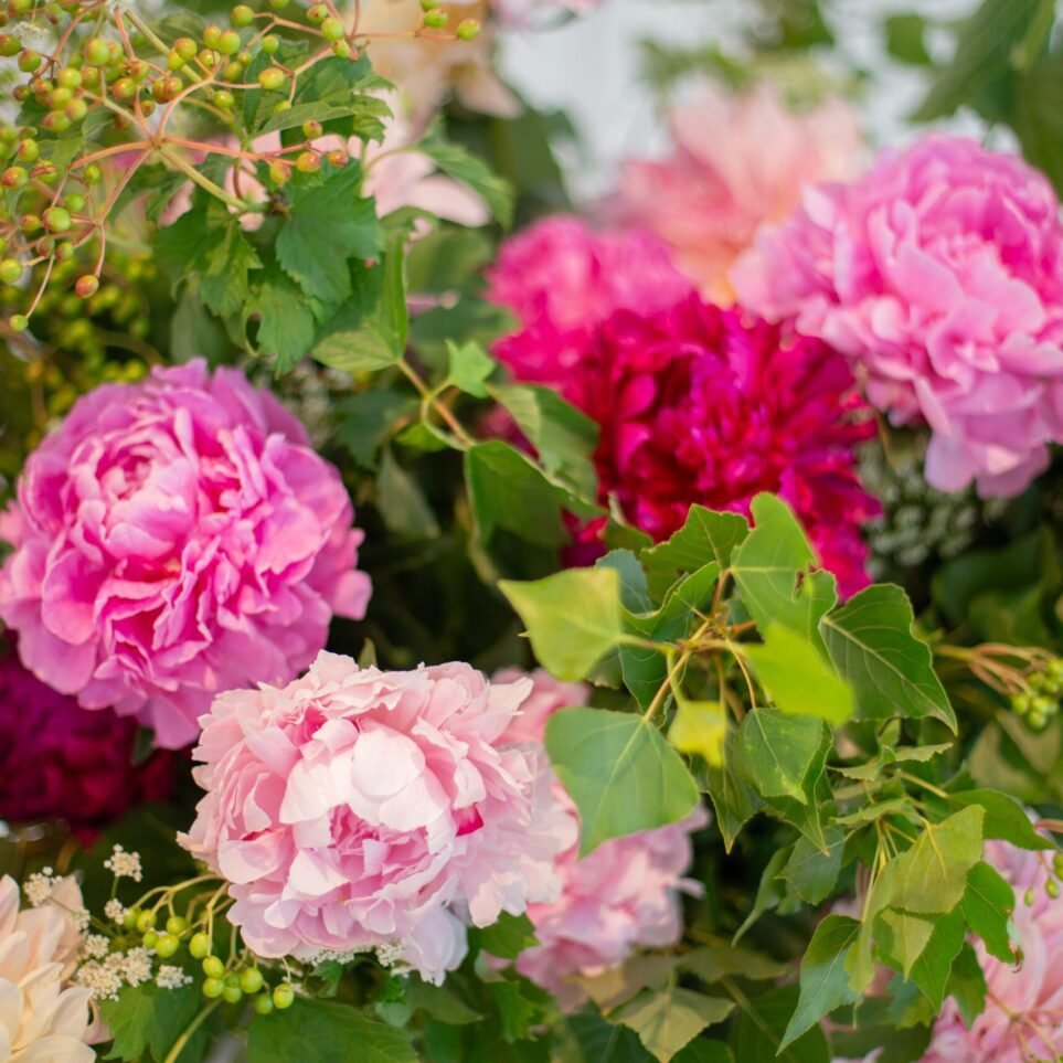 Luxury fresh flower arrangement in North Strathfield