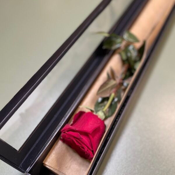 Luxury red rose box for Valentine’s Day delivery Strathfield