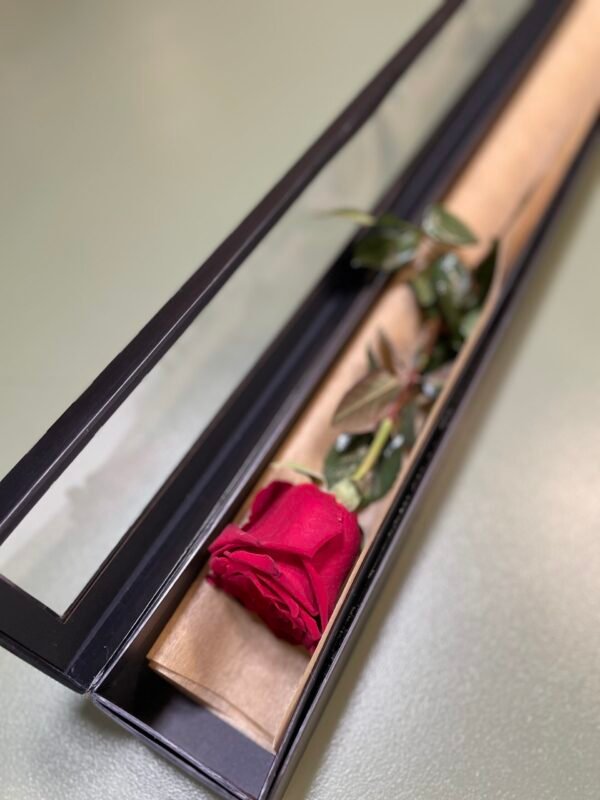 Luxury red rose box for Valentine’s Day delivery Strathfield