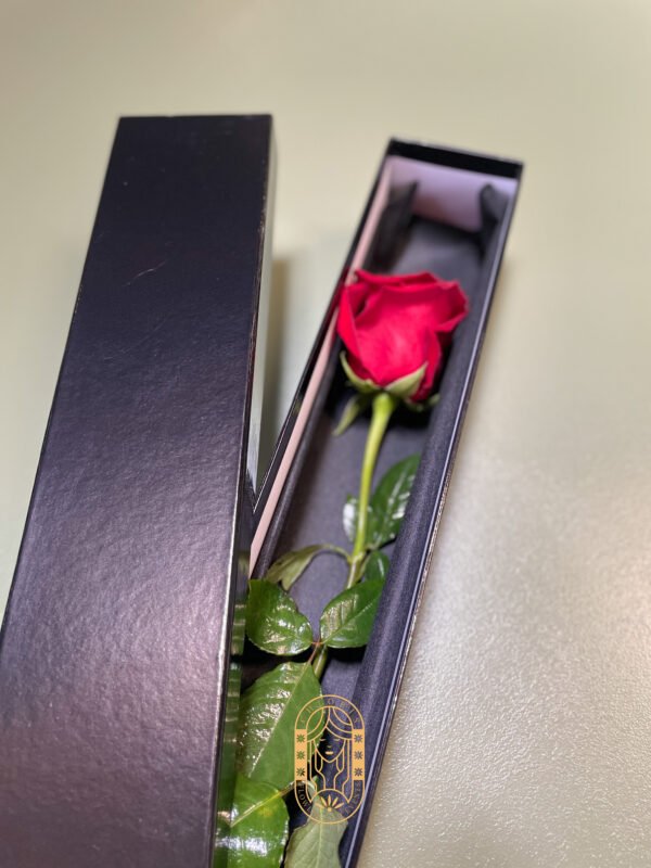 Romantic single red rose gift for Valentine’s Day Strathfield