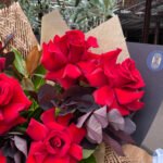 romantic red rose bouquet Valentine